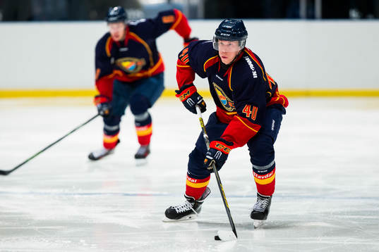 Djurgårdens Tomi Sallinen med pucken