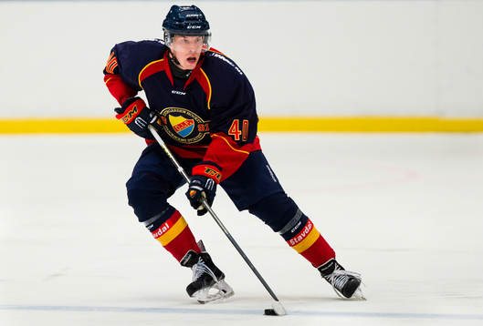 Djurgårdens Tomi Sallinen med pucken