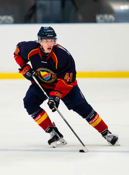 Djurgårdens Tomi Sallinen med pucken