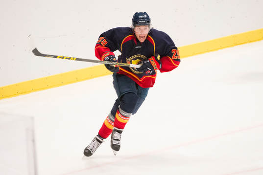 Djurgårdens Matt Anderson