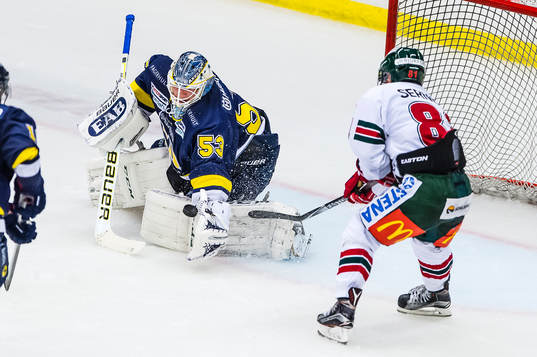 s målvakt Fredrik Pettersson-Wentzel räddar framför