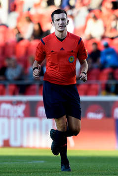 Nermin Cisic, domare