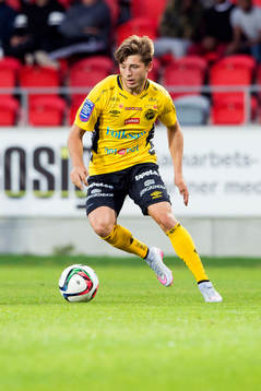 Elfsborgs Arber Zeneli