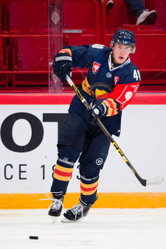 Djurgårdens Tomi Sallinen