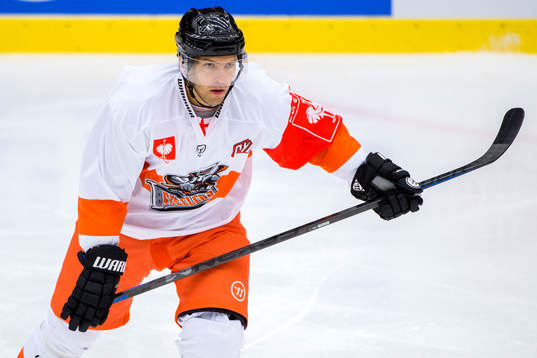 Sheffield Steelers Fredrik Vestberg