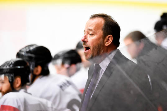 Sheffield Steelers tränare Paul Thompson