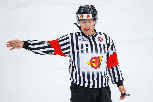 Domare Wolmer Edqvist
