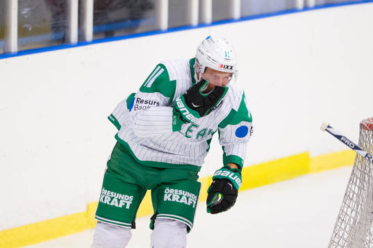 Rögle hockeys David Åslin tar sig för ansiktet