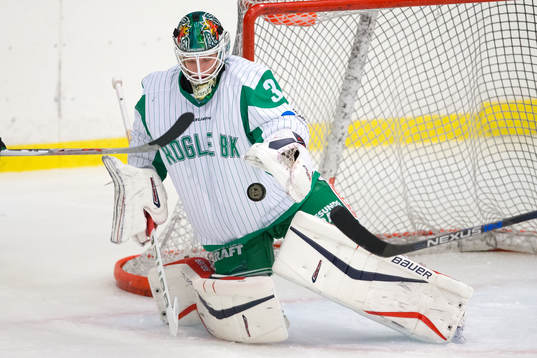 Rögle hockeys  målvakt Lars Volden