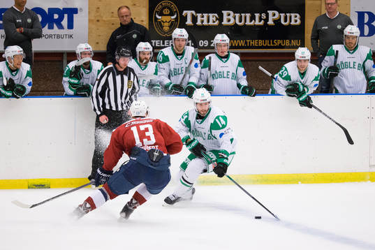 Hamburg Freezers Christoph Schuberg och Rögle hockeys