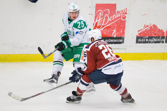 Rögle hockeys Ludvig Elvenes och Hamburg Freezers Marty