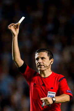 Domare Milorad Mazic