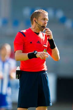 Domare Johan Hamlin