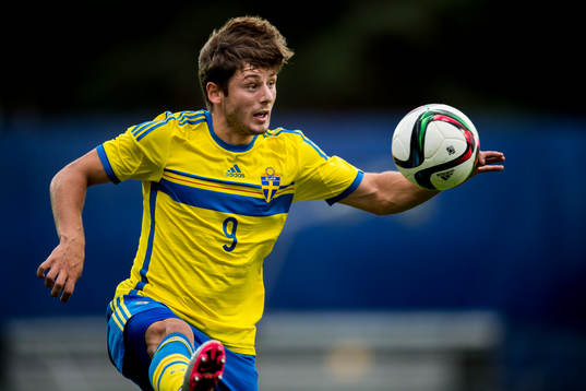 Sveriges Arber Zeneli