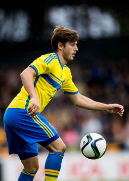 Sveriges Arber Zeneli