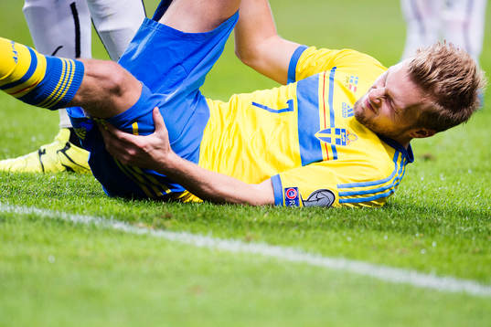 Sveriges Sebastian Larsson faller