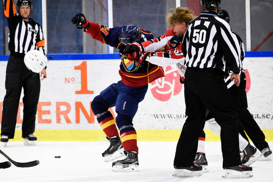 Djurgårdens Tomi Sallinen och Malmö Redhawks Johan