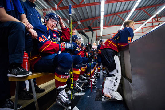 Bläddra bland fler bilder av Ishockey, träningsmatch, Djurgården - Malmö Redhawks