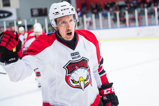 Malmö Redhawks Erik Andersson jublar