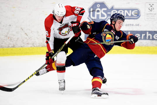 Malmö Redhawks Kim Rosdahl och Djurgårdens Robin Press