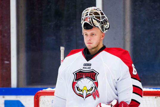 Malmö Redhawks målvakt Oscar Alsenfelt