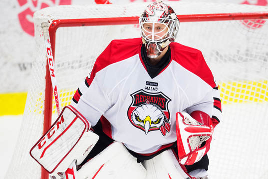 Malmö Redhawks målvakt Oscar Alsenfelt