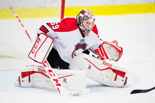 Malmö Redhawks målvakt Oscar Alsenfelt