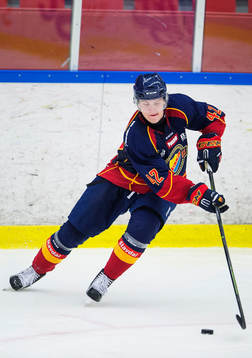 Djurgårdens Robin Press