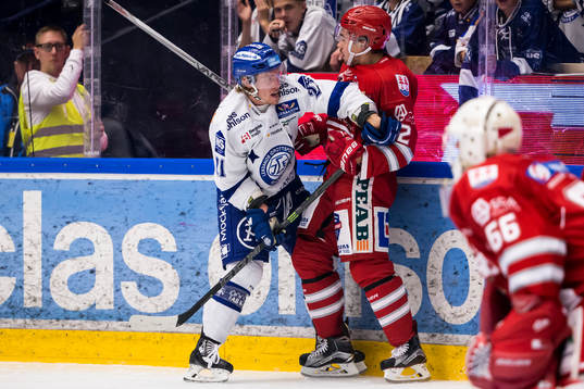 Leksands Brock Montpetit