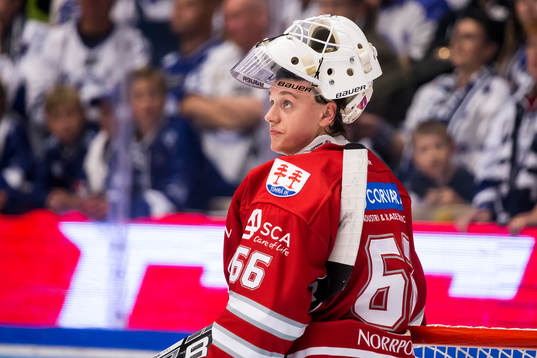 Timrås målvakt Johan Mattsson  i ishockeymatchen i