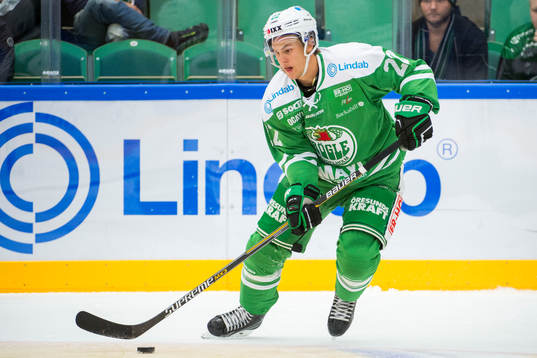 Rögles Sebastian Wännström