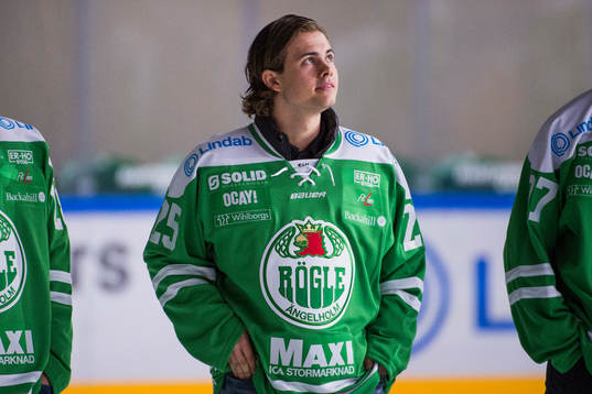 Rögles Ludvig Elvenes