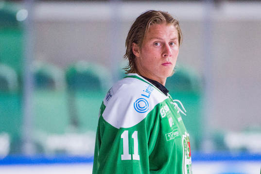 Rögles David Åslin