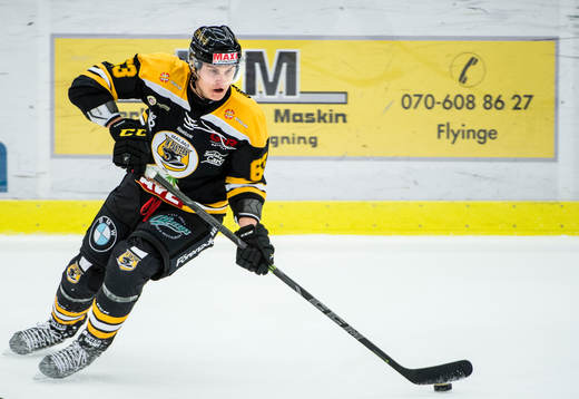Panterns Fredrik Händemark