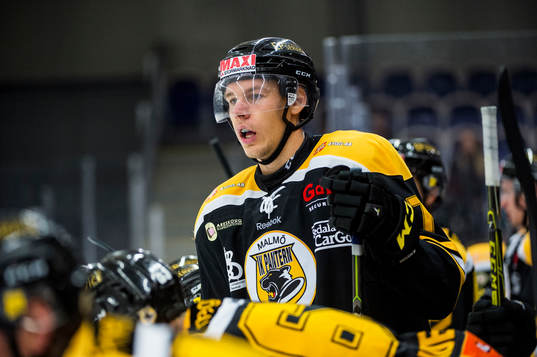 Panterns Filip Windlert
