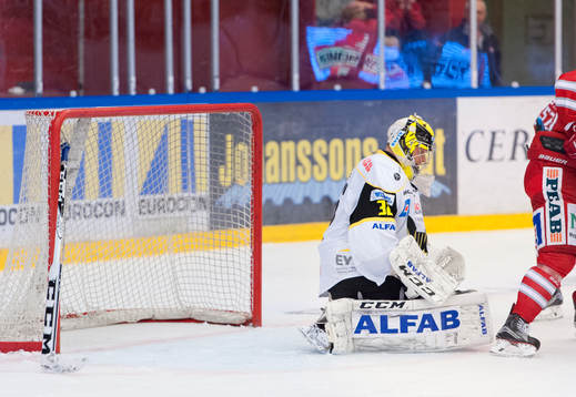 Västerås målvakt  Jonas Fransson fastnar med klubban i