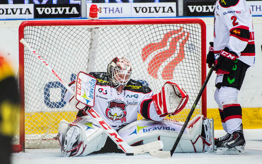 Malmö Redhawks målvakt Oscar Alsenfelt deppar