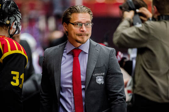 Malmö Redhawks tränare Björn Hellkvist deppar