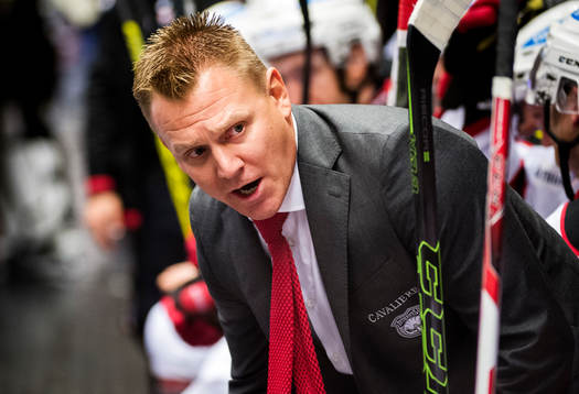 Malmö Redhawks assisterande tränare Andreas Hadelöv