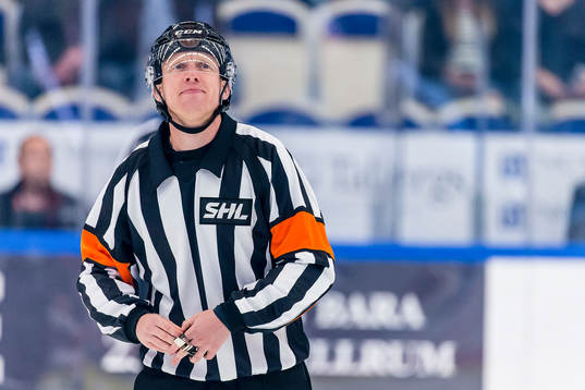 Domare Mikael Holm