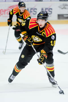 Brynäs Anton Rödin