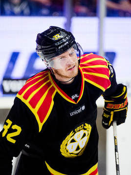 Brynäs Nick Johnson