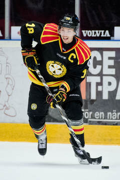 Brynäs Anton Rödin