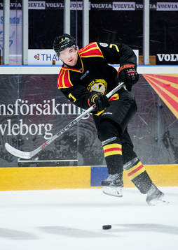 Brynäs Ponthus Westerholm