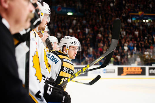 Skellefteås Andrew Calof