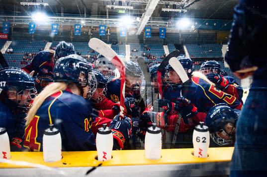 Djurgården har timeout