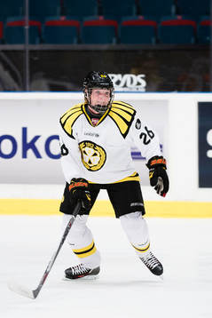 Brynäs Felicia Meyer