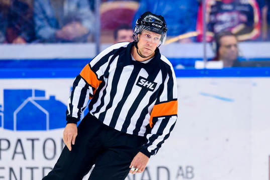 Domare Morgan Johansson