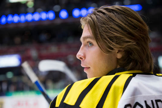 Brynäs målvakt Felix Sandström