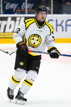Brynäs Petr Vrana